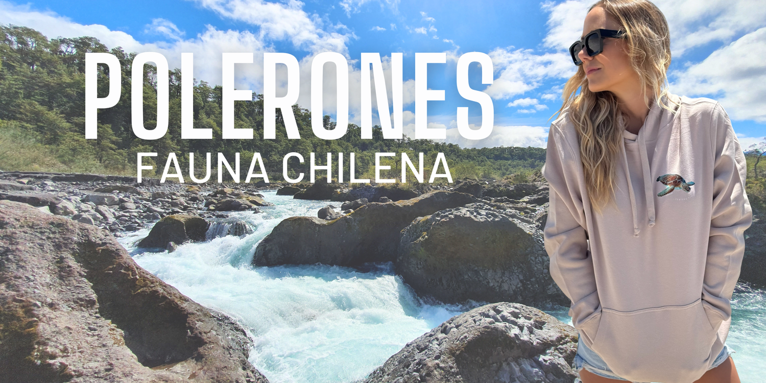 Polerones Fauna Chilena